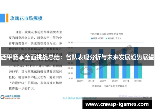 西甲赛季全面挑战总结：各队表现分析与未来发展趋势展望