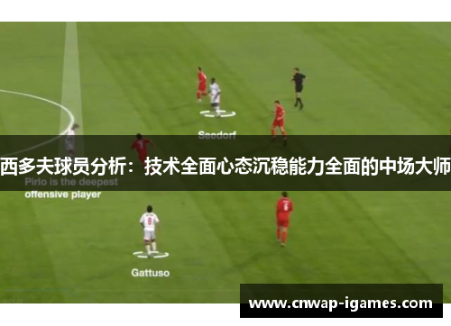 西多夫球员分析:技术全面心态沉稳能力全面的中场大师 西多夫球员分析:技术全面心态沉稳能力全面的中场大师