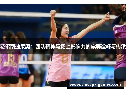 费尔南迪尼奥：团队精神与场上影响力的完美诠释与传承